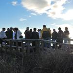Cambria2010_264 ()